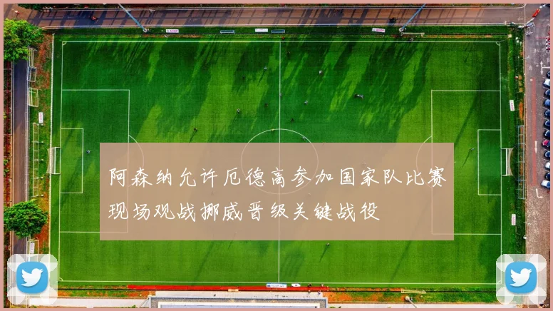 阿森纳允许厄德高参加国家队比赛现场观战挪威晋级关键战役
