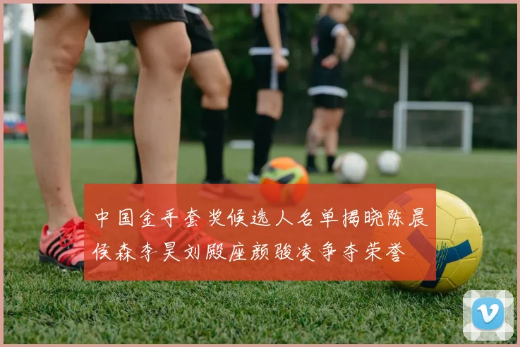 中国金手套奖候选人名单揭晓陈晨侯森李昊刘殿座颜骏凌争夺荣誉