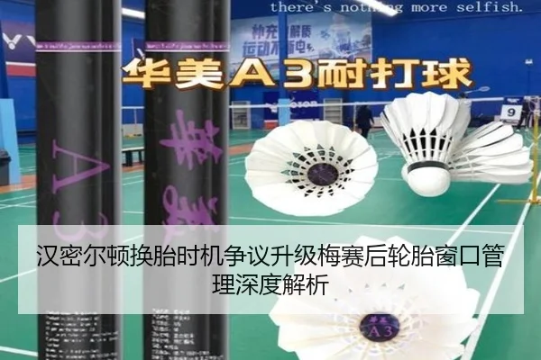 汉密尔顿换胎时机争议升级梅赛后轮胎窗口管理深度解析